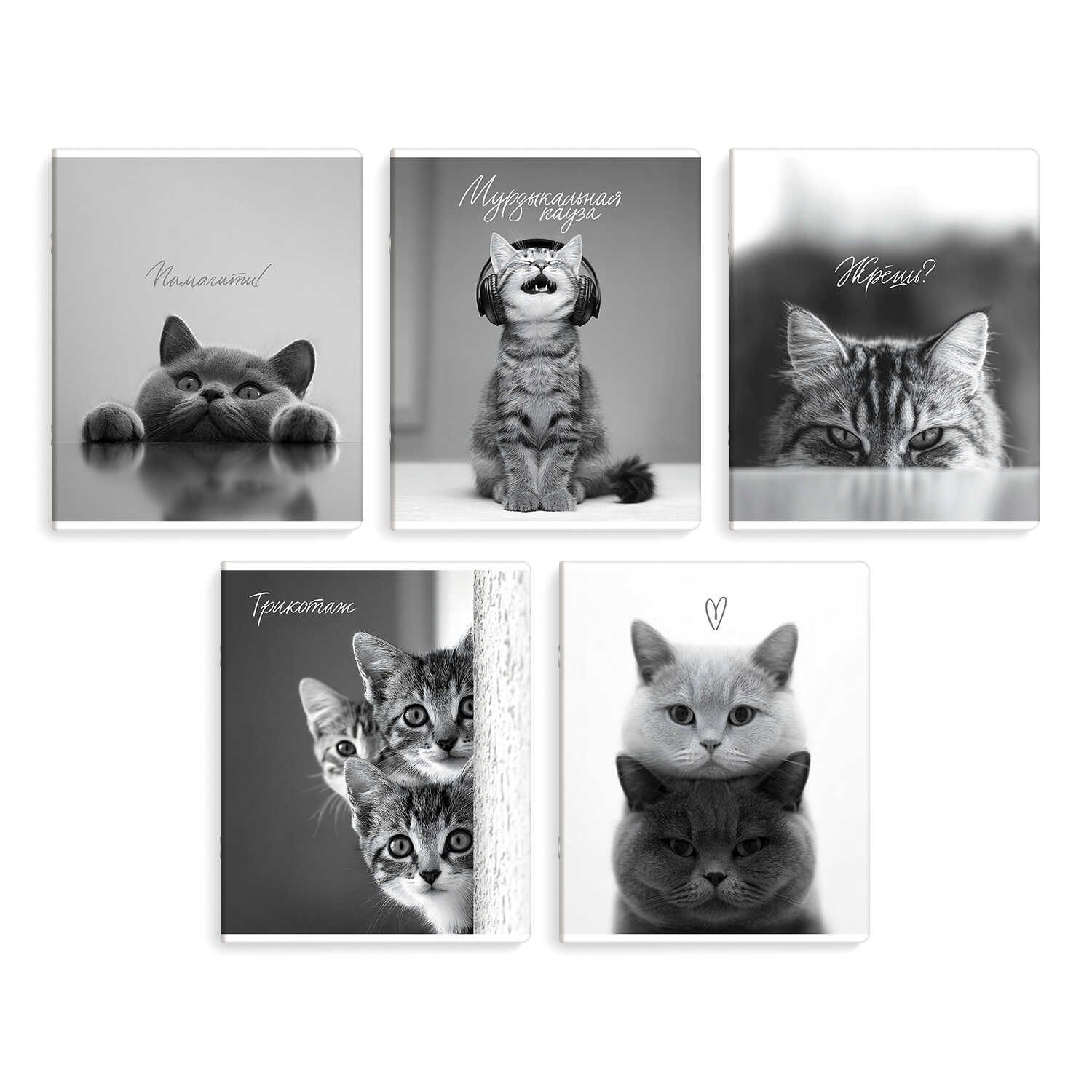 Тетрадь А5 48л кл. Феникс+ "Монохромные коты" выб.твин-лак