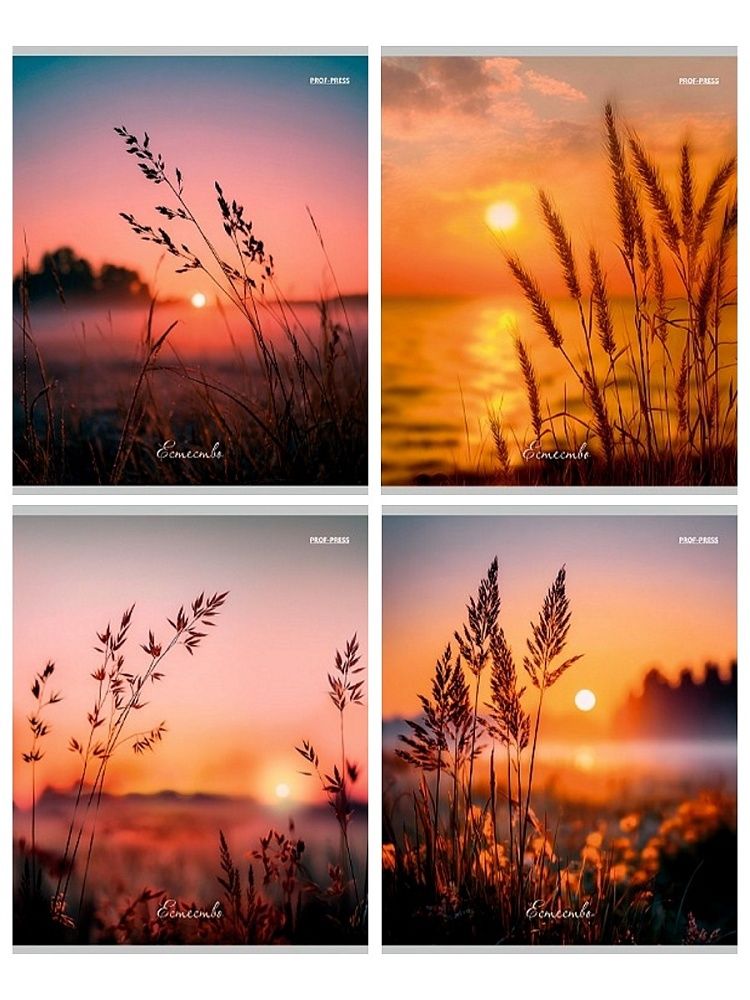 Тетрадь А5  96л кл. Проф-Пресс "Природа и солнце"