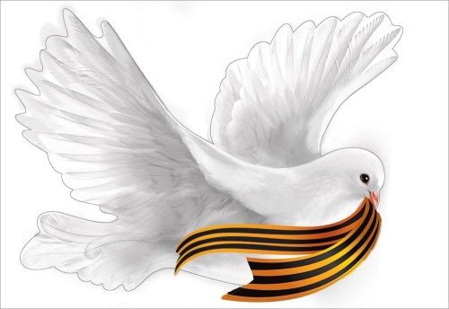 Наклейка интерьерная 15*21 см "Голубь с георгиевской ленточкой"