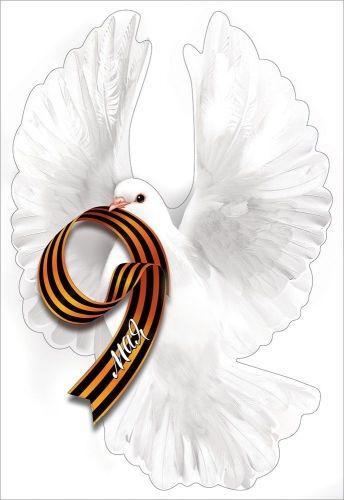 Наклейка интерьерная 15*21 см "9 мая"