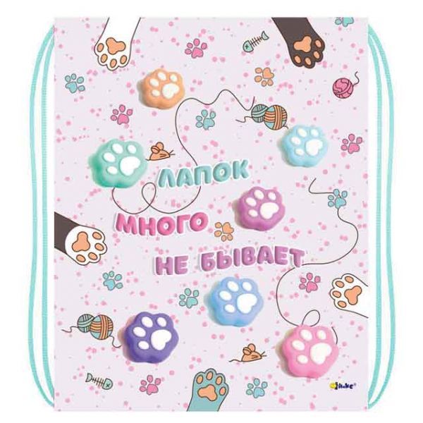 Мешок для обуви 1 отд, 330*420 "Таба лапки"