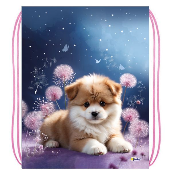 Мешок для обуви 1 отд, 330*420 "Лучший друг"