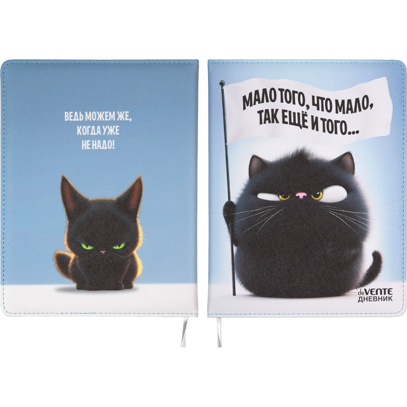 Дневник универсальн. обл. кожзам, тв.пер. "Мало того, что мало..."  с поролоном , 48л.,ляссе