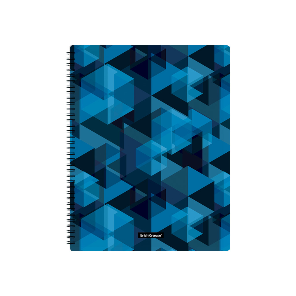 Папка файловая пластиковая на спирали ErichKrause® Ice Spectrum, с 20 прозрачными карманами, A4 (в пакете по 4 шт.)