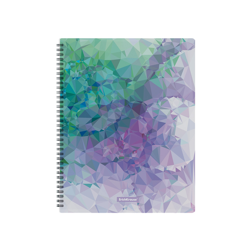 Папка файловая пластиковая на спирали ErichKrause® Violet Dynamique, с 20 прозрачными карманами, A4 (в пакете по 4 шт.)