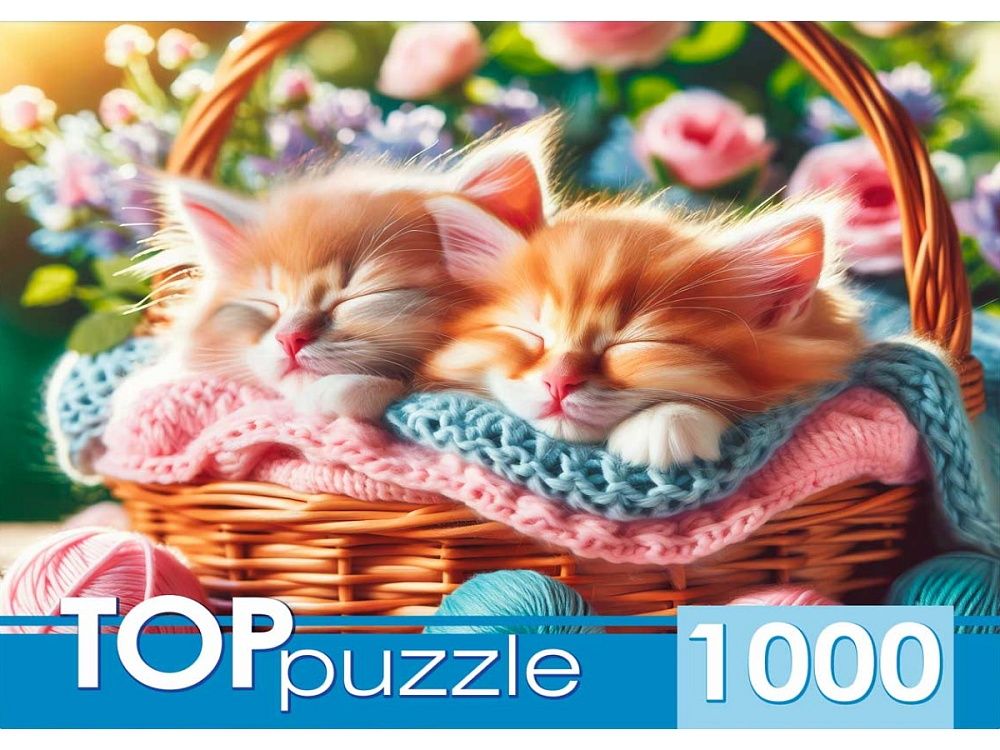 Пазлы 1000 элементов "Два котенка" TOPpuzzle