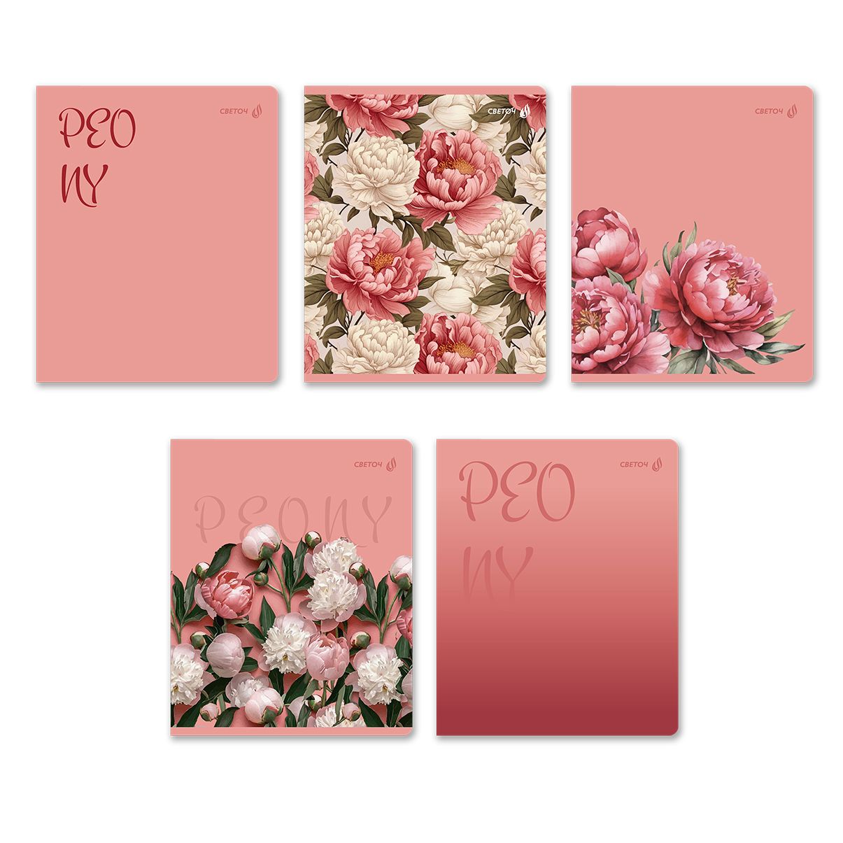 Тетрадь А5 48л кл. Светоч "Пионы"