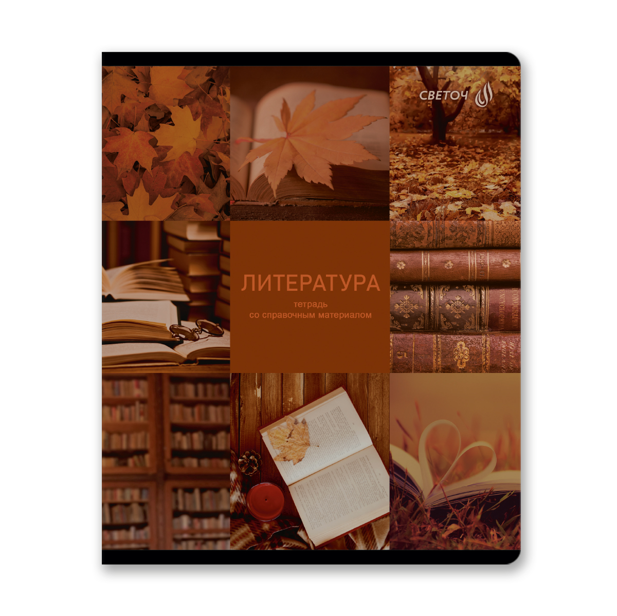 Тетрадь предметная А5 Литература "Огромный мир внутри" 48л, лин.