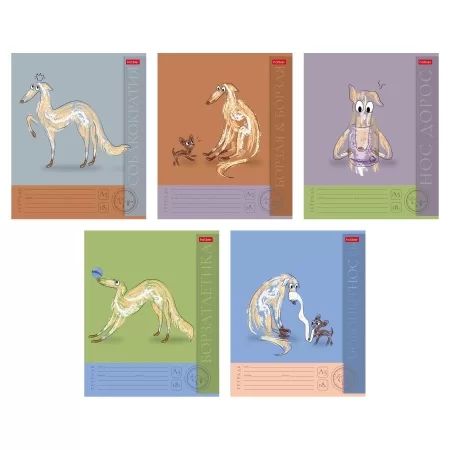 Тетрадь А5 18л кл. Hatber "Борзый нос" 5 диз.в блоке