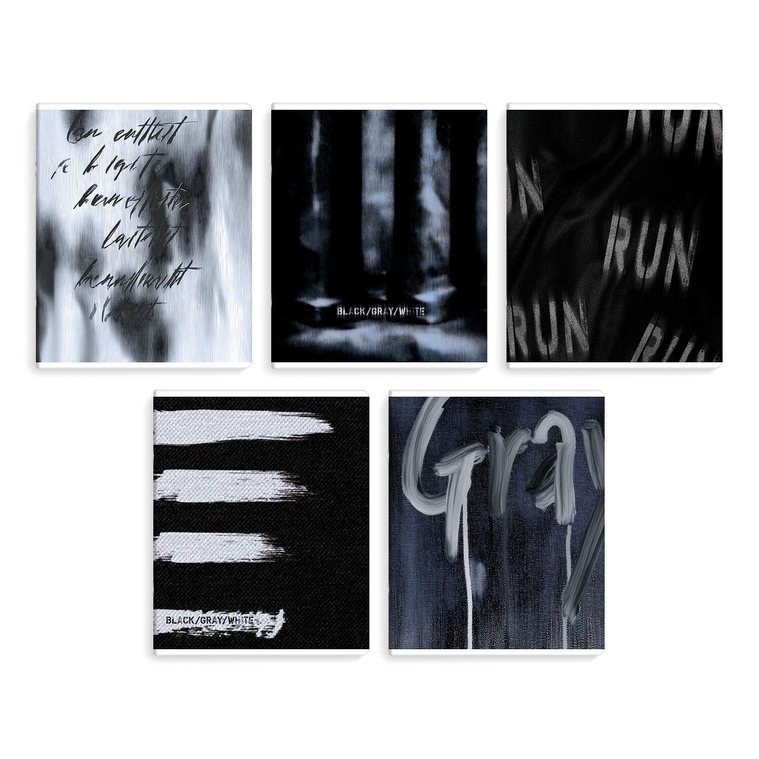 Тетрадь А5 48л ЛИН. Феникс+ "Гранж" выб.твин-лак