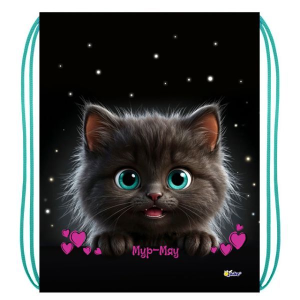 Мешок для обуви 1 отд, 330*420 "Мур-мяу"