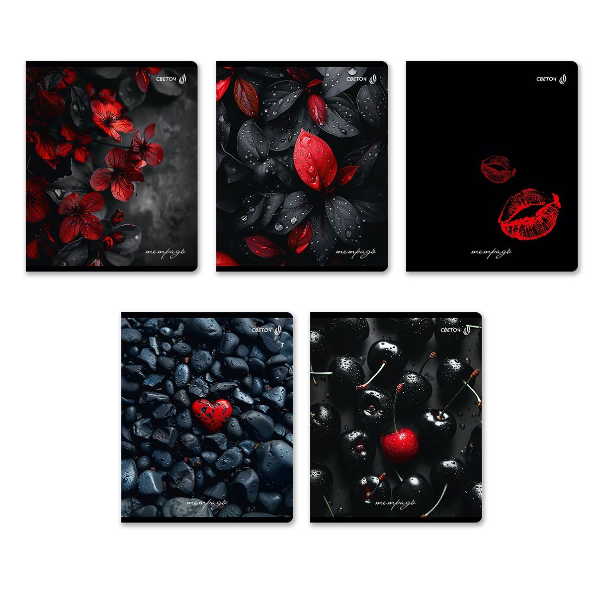 Тетрадь А5 48л кл. Светоч "Акценты" твин-лак