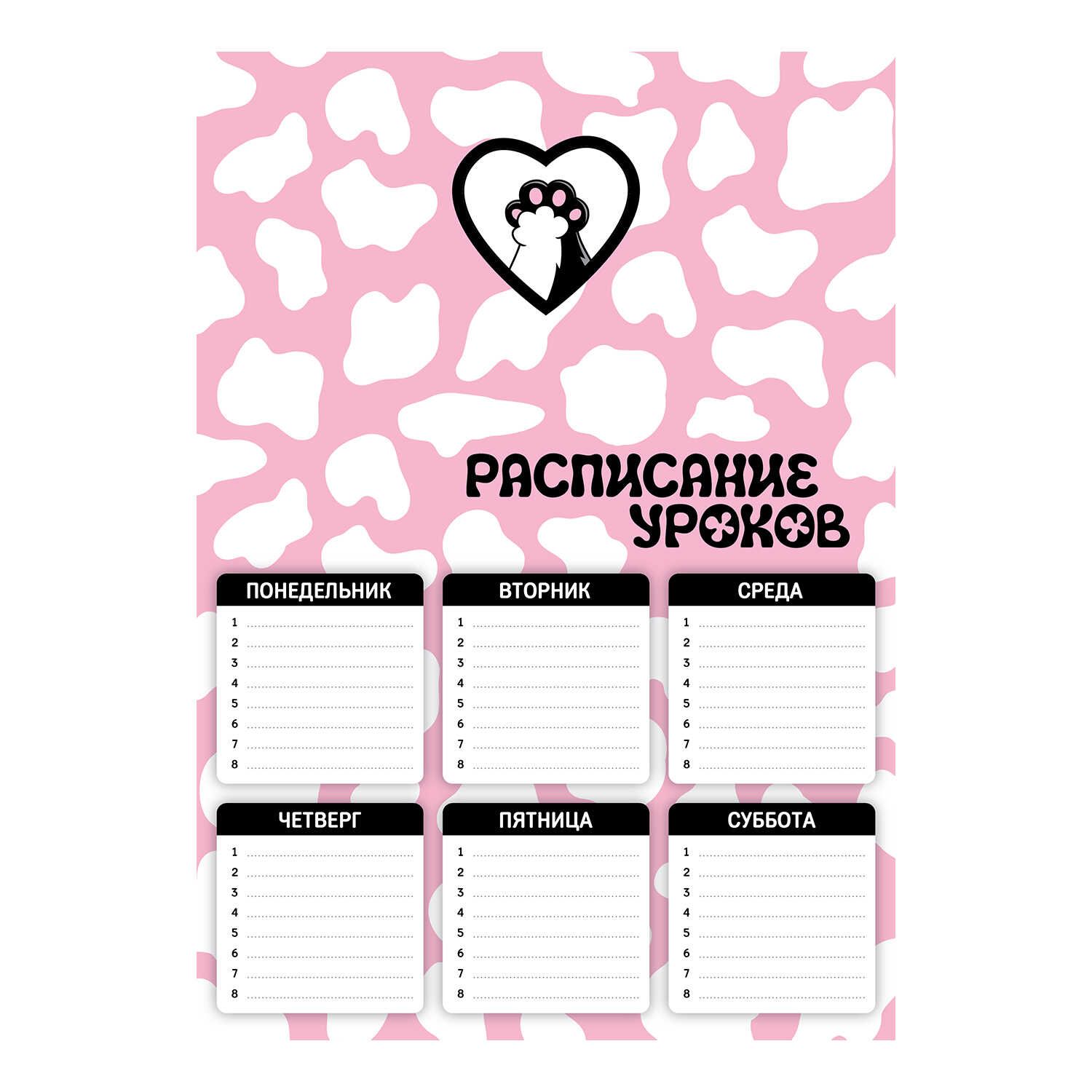Расписание уроков А4 "Котолапы" выб. УФ-лак, 235гр/м2