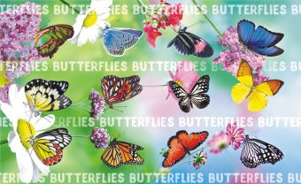 Наклейки детские 15*9см  "Бабочки"
