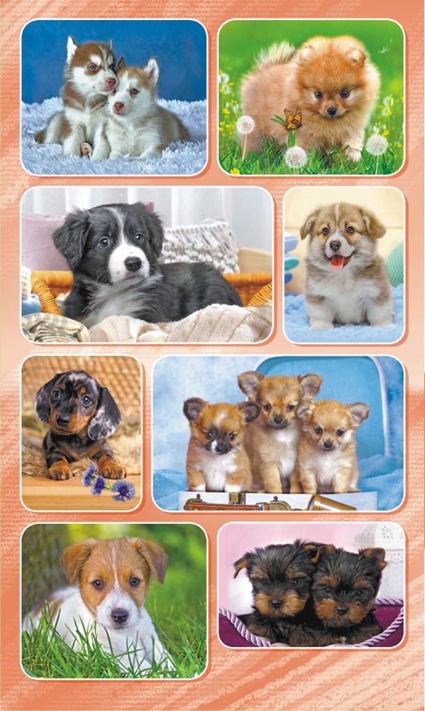 Наклейки детские 15*9см  "Собачки"