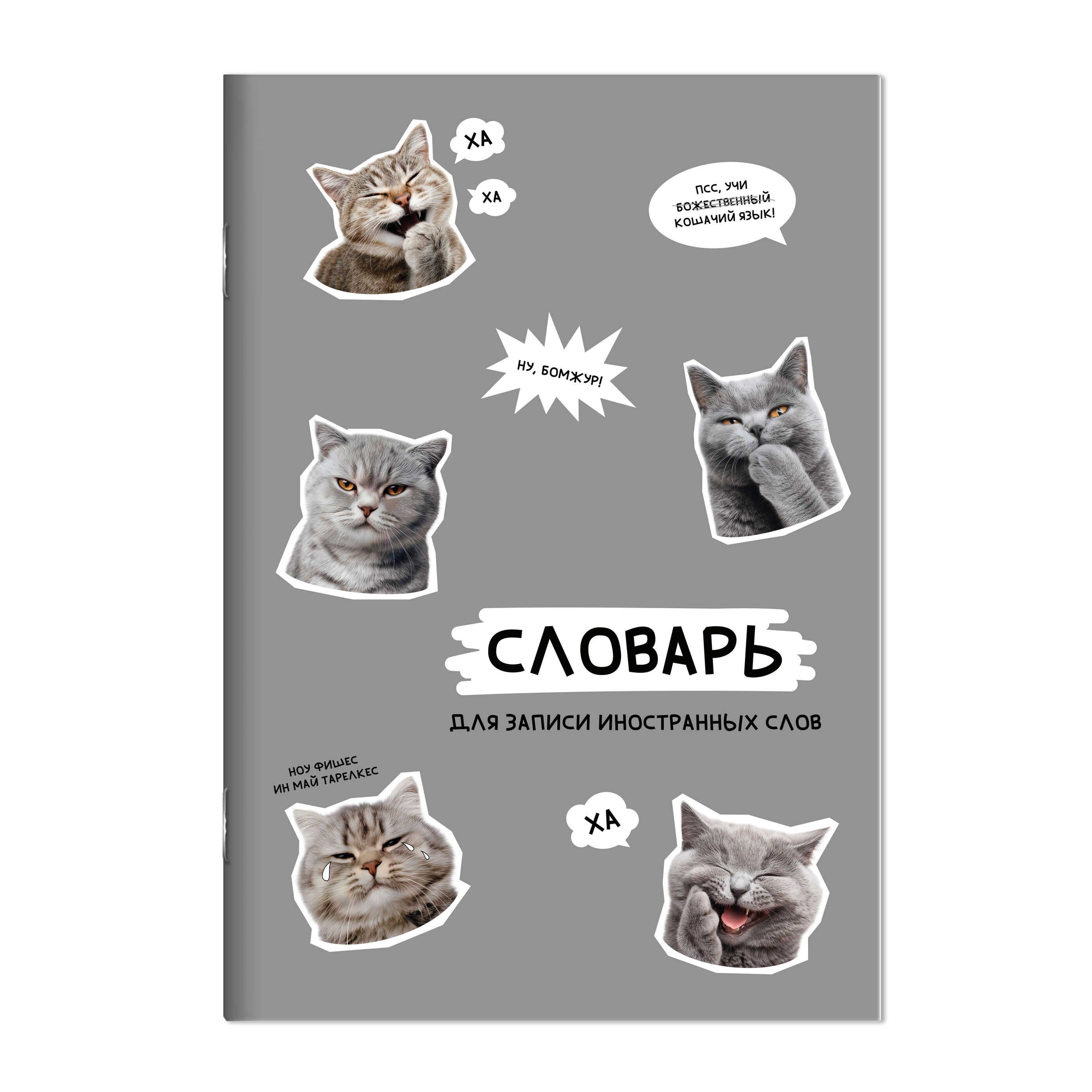 Тетрадь д/записи иностр. слов А5  24л, скоба "Стикеры с котами" глянц.лам.