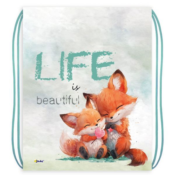 Мешок для обуви 1 отд, 330*420 "Лисички"