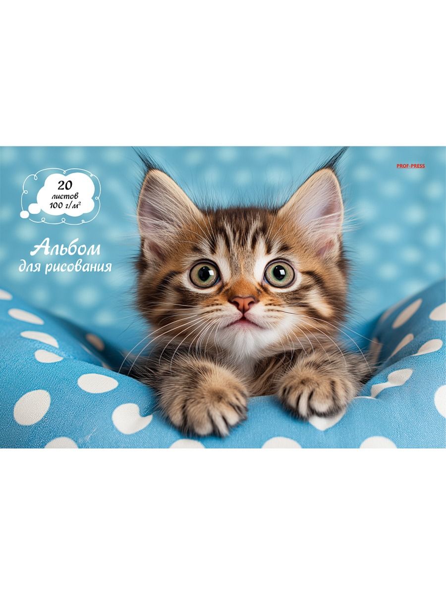 Альбом А4 20л скоба "Милый котик - 2" пл. 100 гр/м
