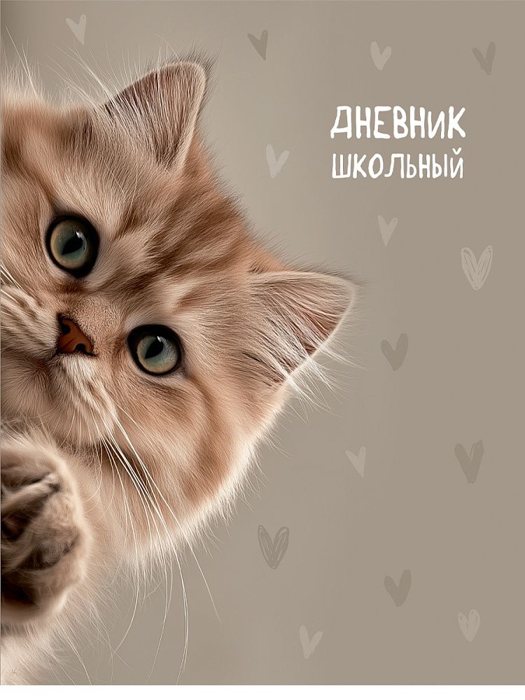 Дневник универсальн. обл. картон "Забавный котик - 4" 40 л.
