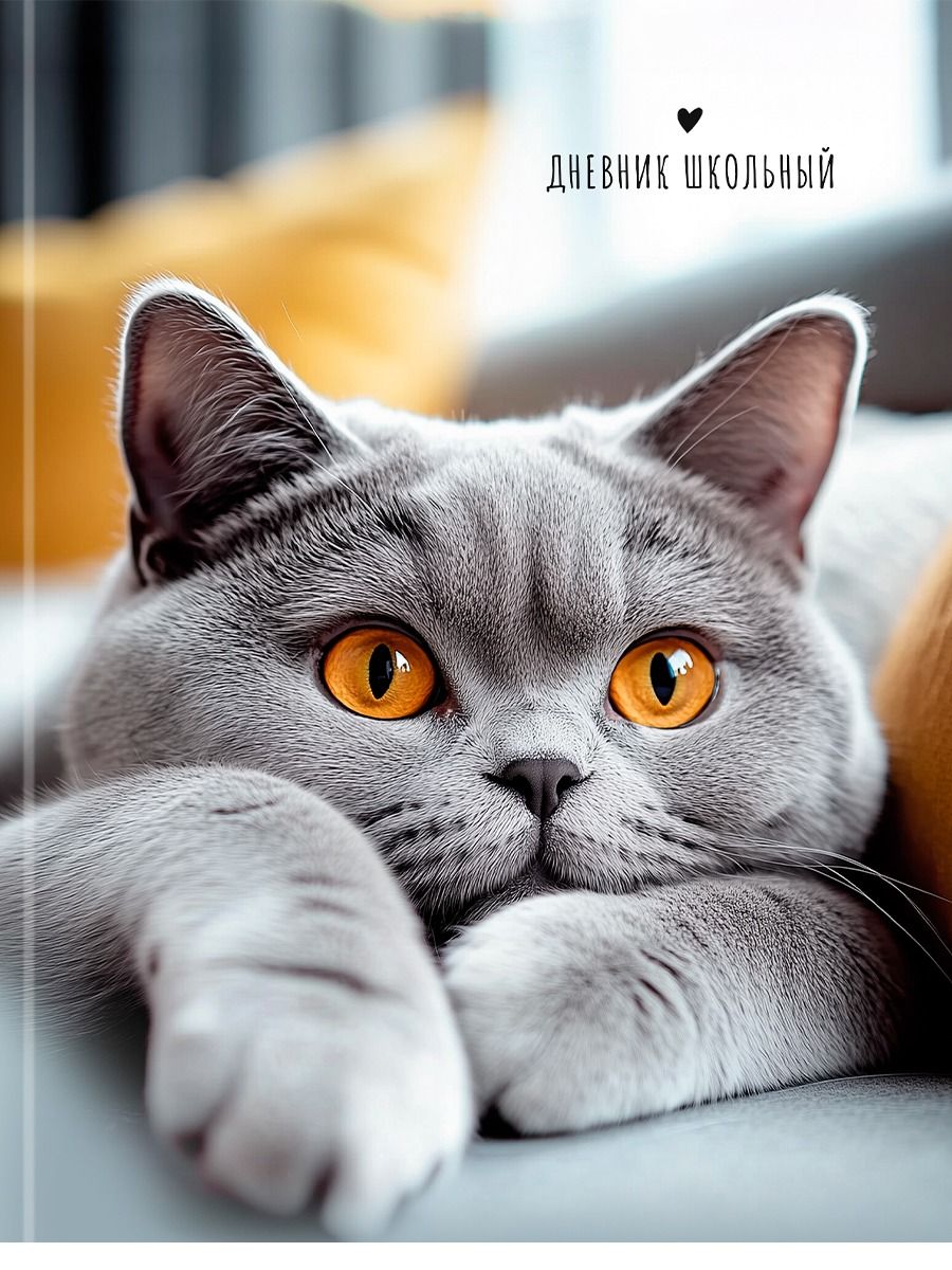 Дневник  универсальн. 7БЦ "Серый кот - 1" глянц.лам., 40л.