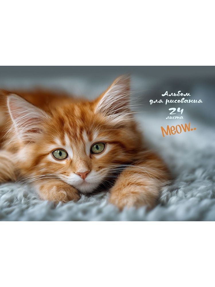 Альбом А4 24л клеевой кор. "Котик - 4" пл. 100 гр/м