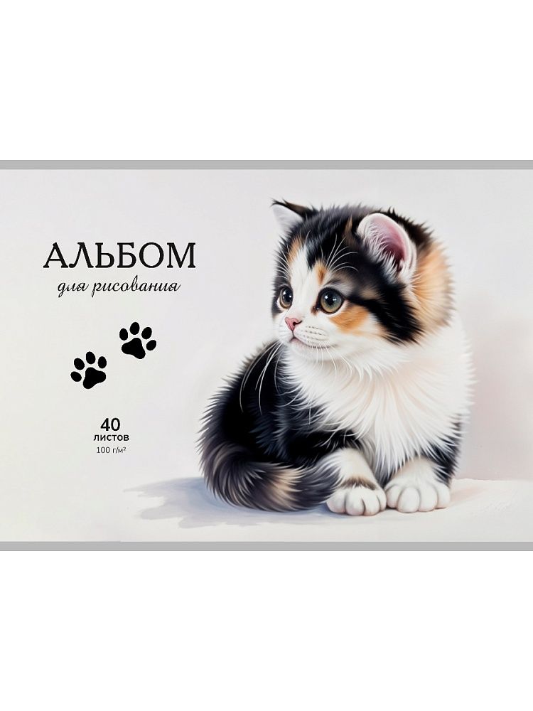 Альбом А4 40л клеевой кор. "Лапки котика" пл. 100 гр/м
