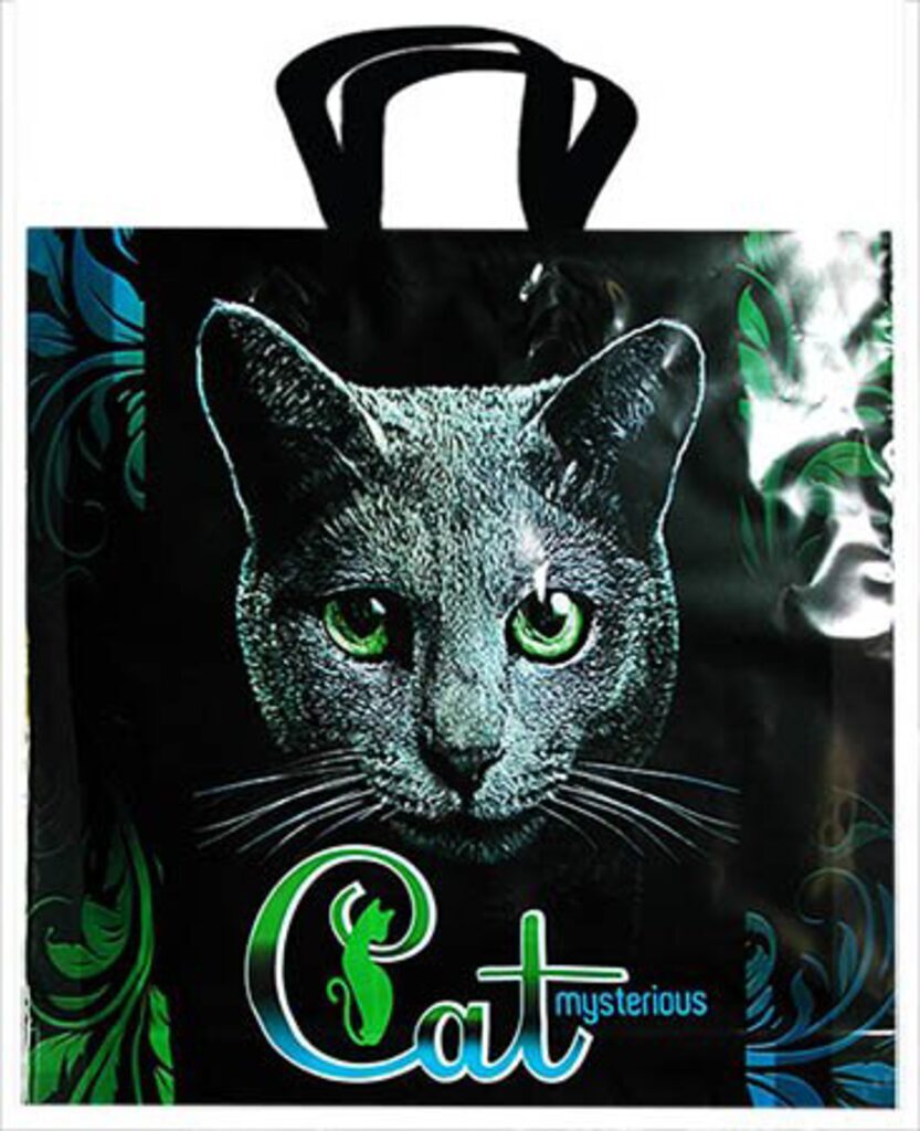 Пакет с петлевой ручкой 40х36+8 (70мк) Cat mysterious
