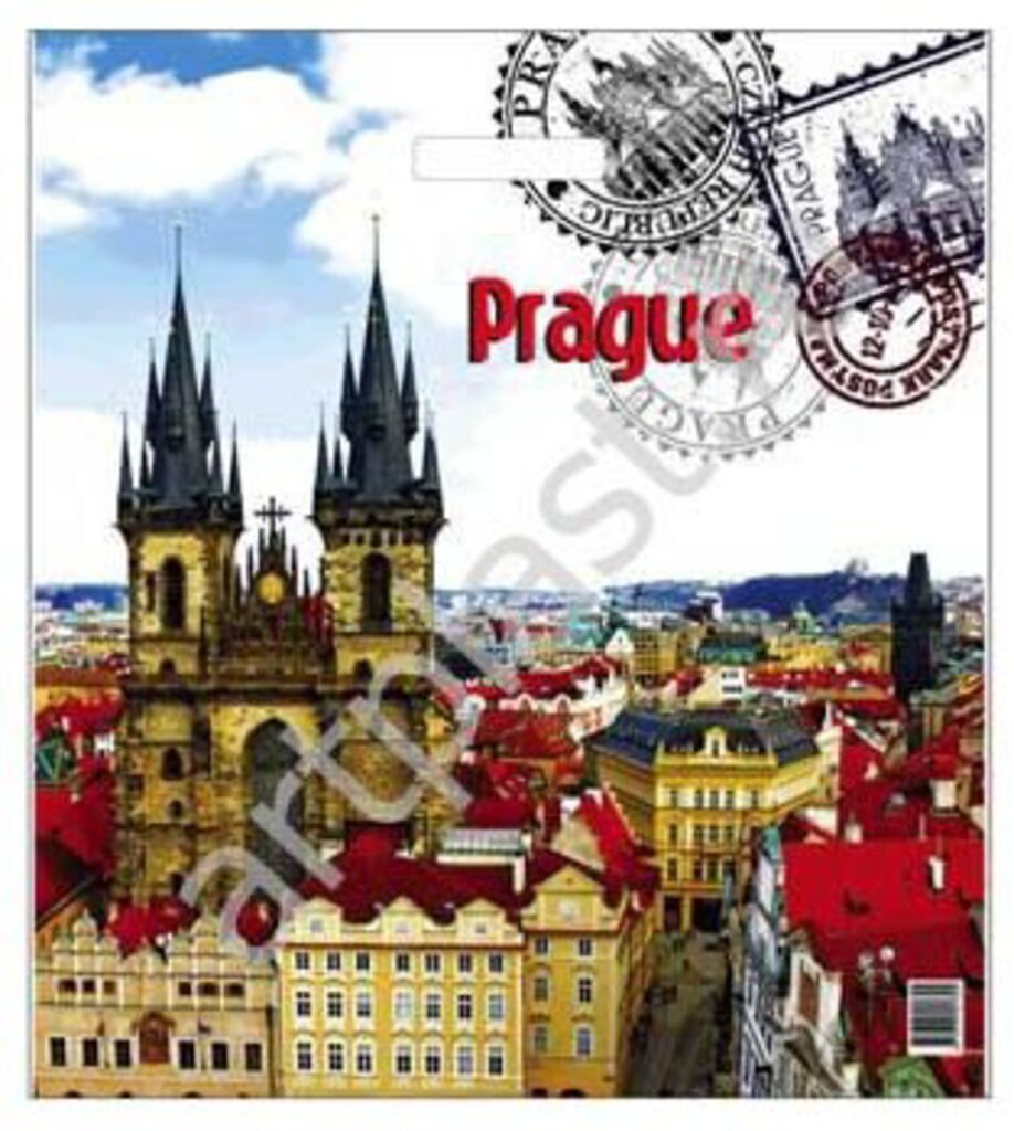 Пакет с вырубной усил. ручкой 45х50+12 (70мк) Prague