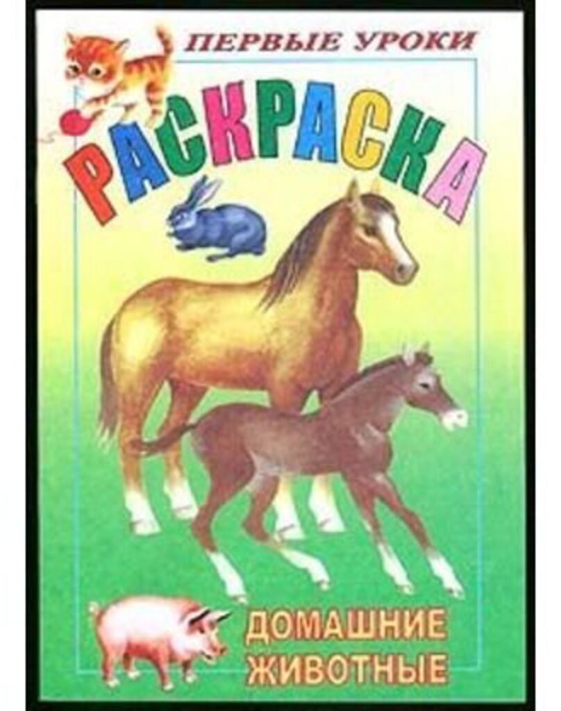 Раскраска А5 16стр. "Первые уроки "Домашние животные"