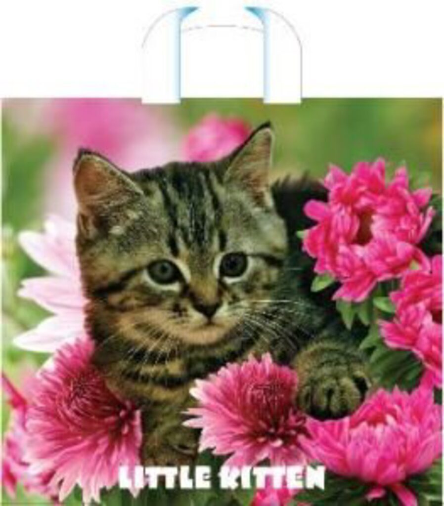 Пакет с петлевой ручкой 40х36+8 (70мк) Kitten