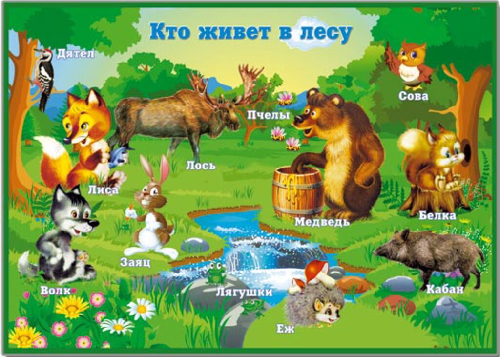 Плакат 50*70см "Кто живет в лесу"