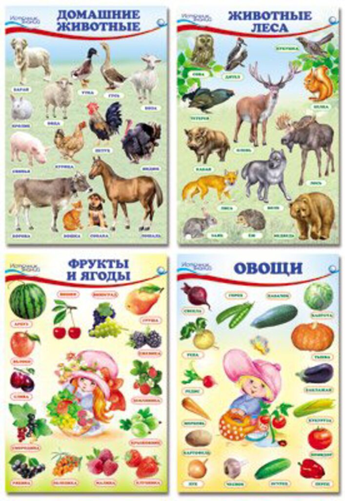 Комплект плакатов 21*30см "Домашние, лесные животные, фрукты и ягоды,овощи" 4шт