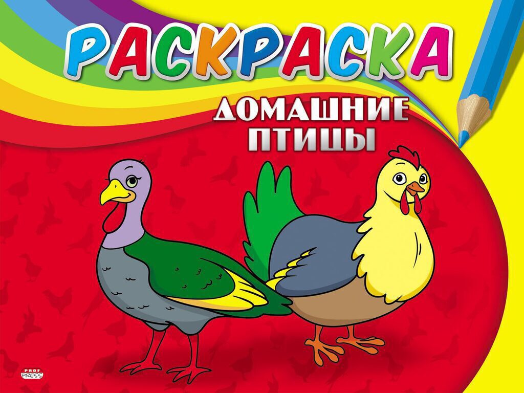 Раскраска А5, 4л.  Самая первая раскраска "Домашние птицы"