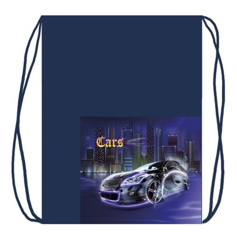 Мешок для обуви 2 отд, карман на молнии 330*420 Blue car