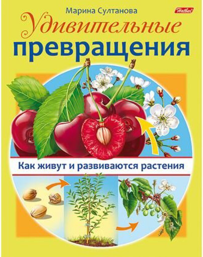 Книжка А5, 16стр. "Удивительные превращения. Как живут и развиваются растения"