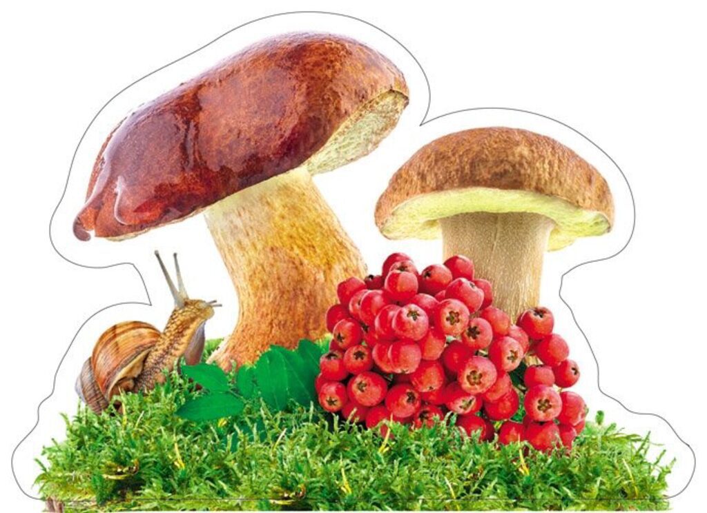 Украшение на скотче "Грибы и рябина" 15*15см