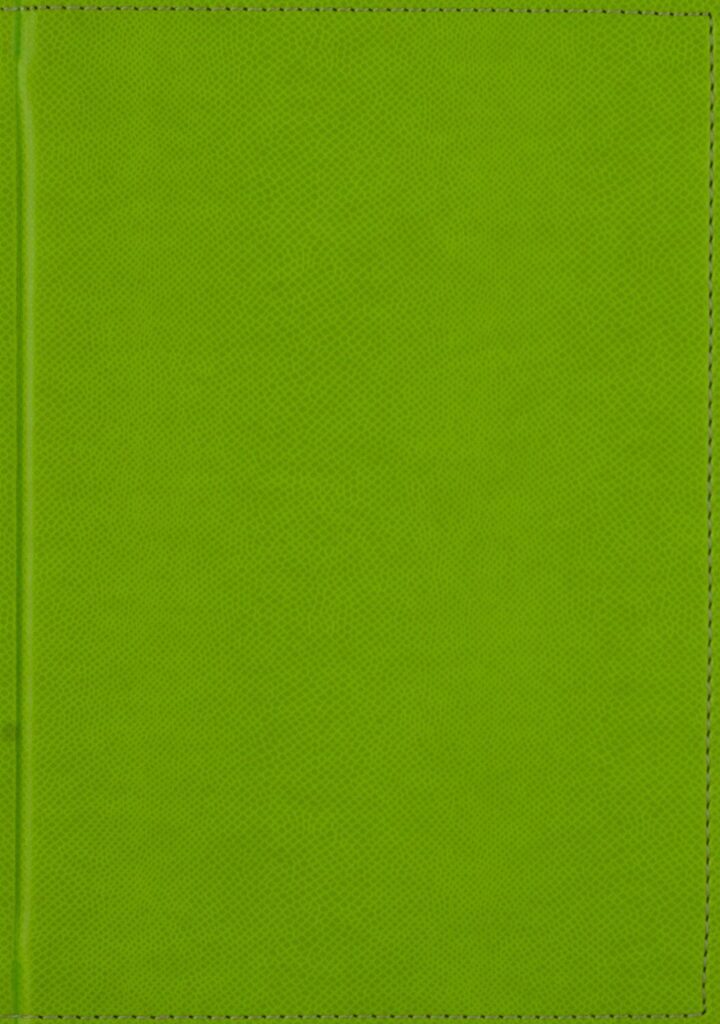 Ежедневник недат. А5 DIARIO салатовый, 256стр.