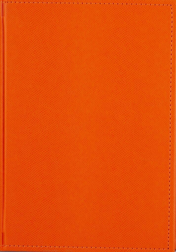 Ежедневник недат. А5 DIARIO оранжевый, 256стр.