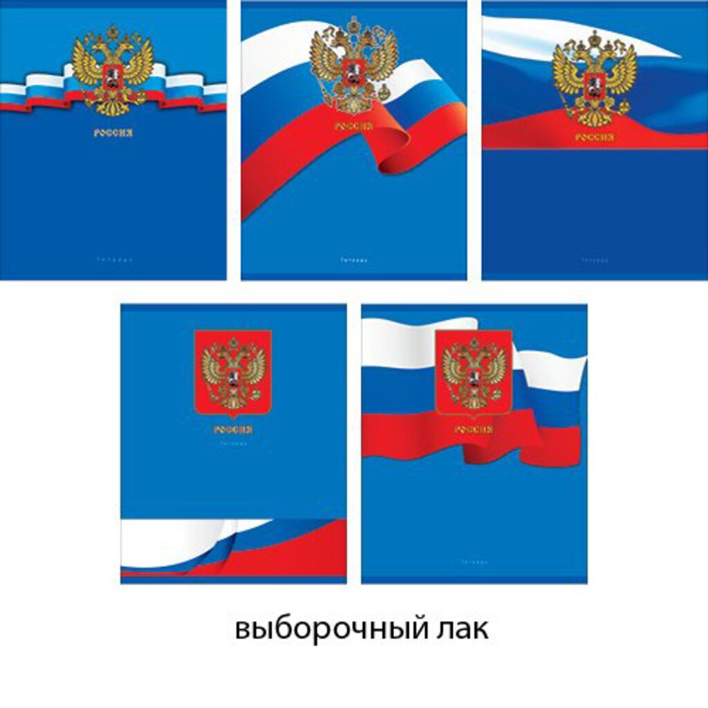 Тетрадь А5 48л кл  Государственная символика, выб.лак