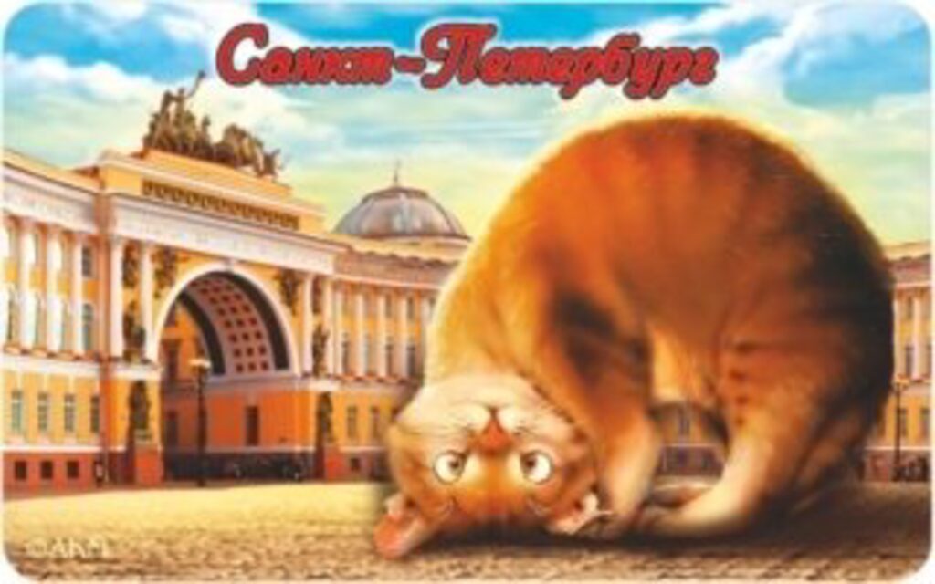 Магнит сувенирный   6*10см СПБ Котик-Арка, винил