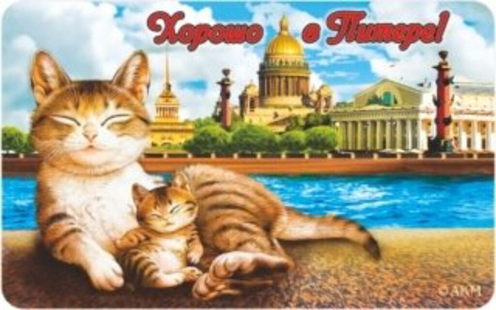 Магнит сувенирный   6*10см СПБ Хорошо в Питере!, винил