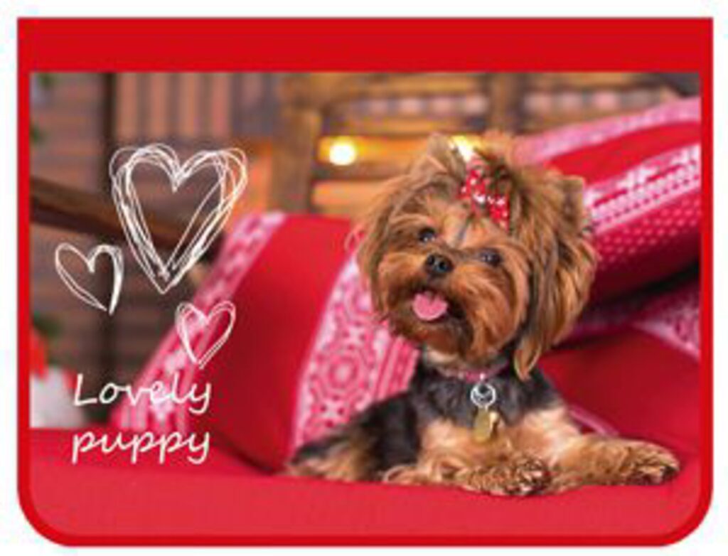 Папка для труда А4 1 отд. молн. вокруг Lovely puppy, ткань, ламинат