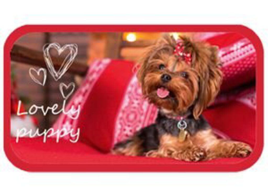 Пенал 3 отд. (190*110*63) молния, лам.картон "Lovely Puppy"