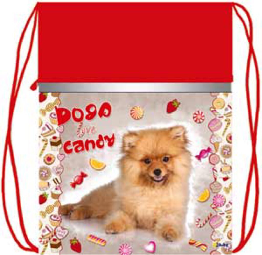 Мешок для обуви 1 отд, карман на молнии, 370*470 Candy dog, светоотраж.лента