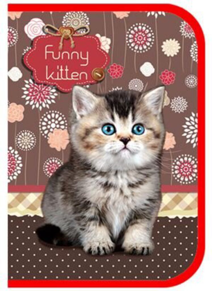 Пенал 1 отд. с откидной пл. (190*130)    Funny kitten, лам.