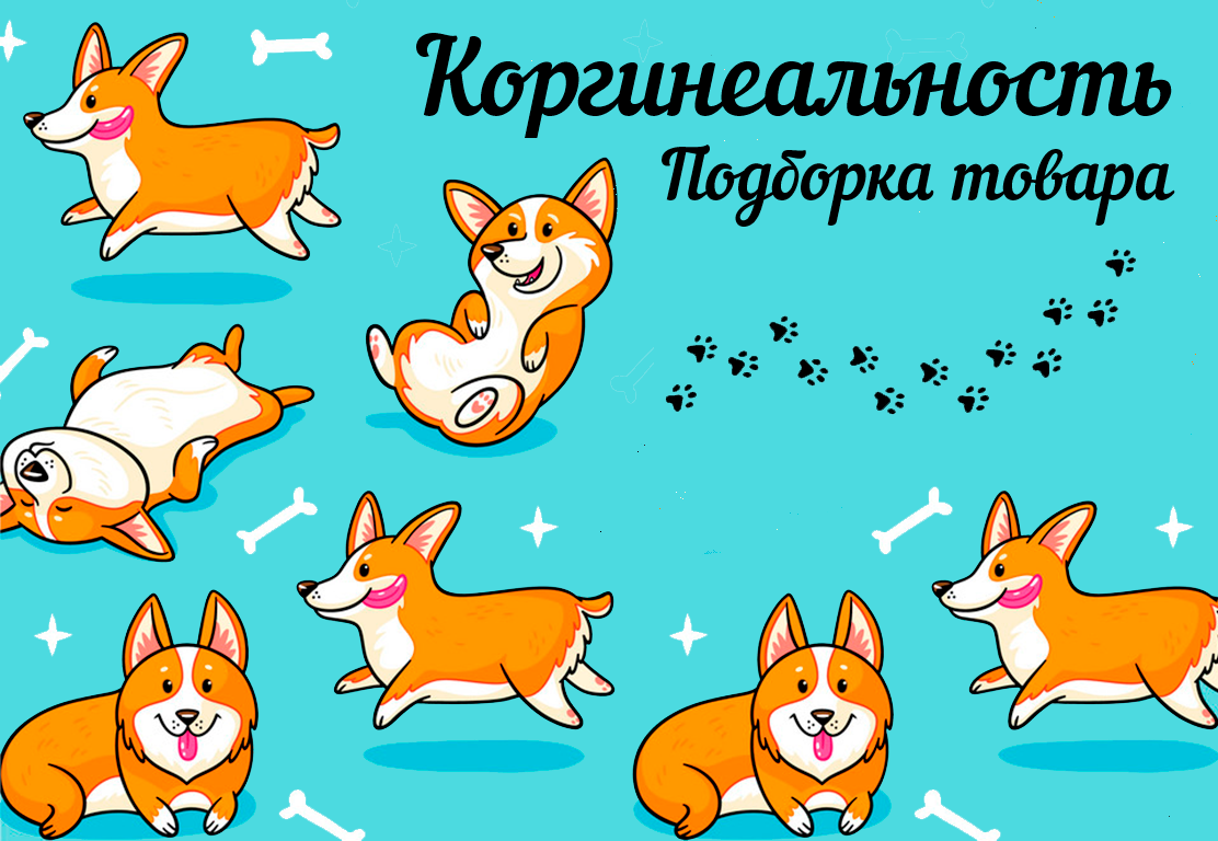 Корги
